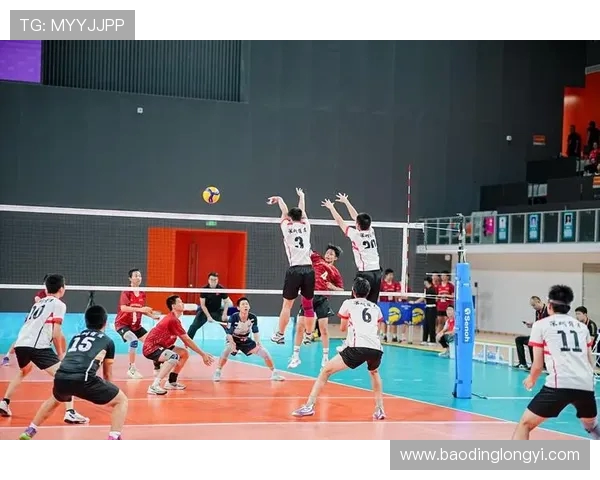 排球盛宴:深入了解杭州排球队的默契与团队精神